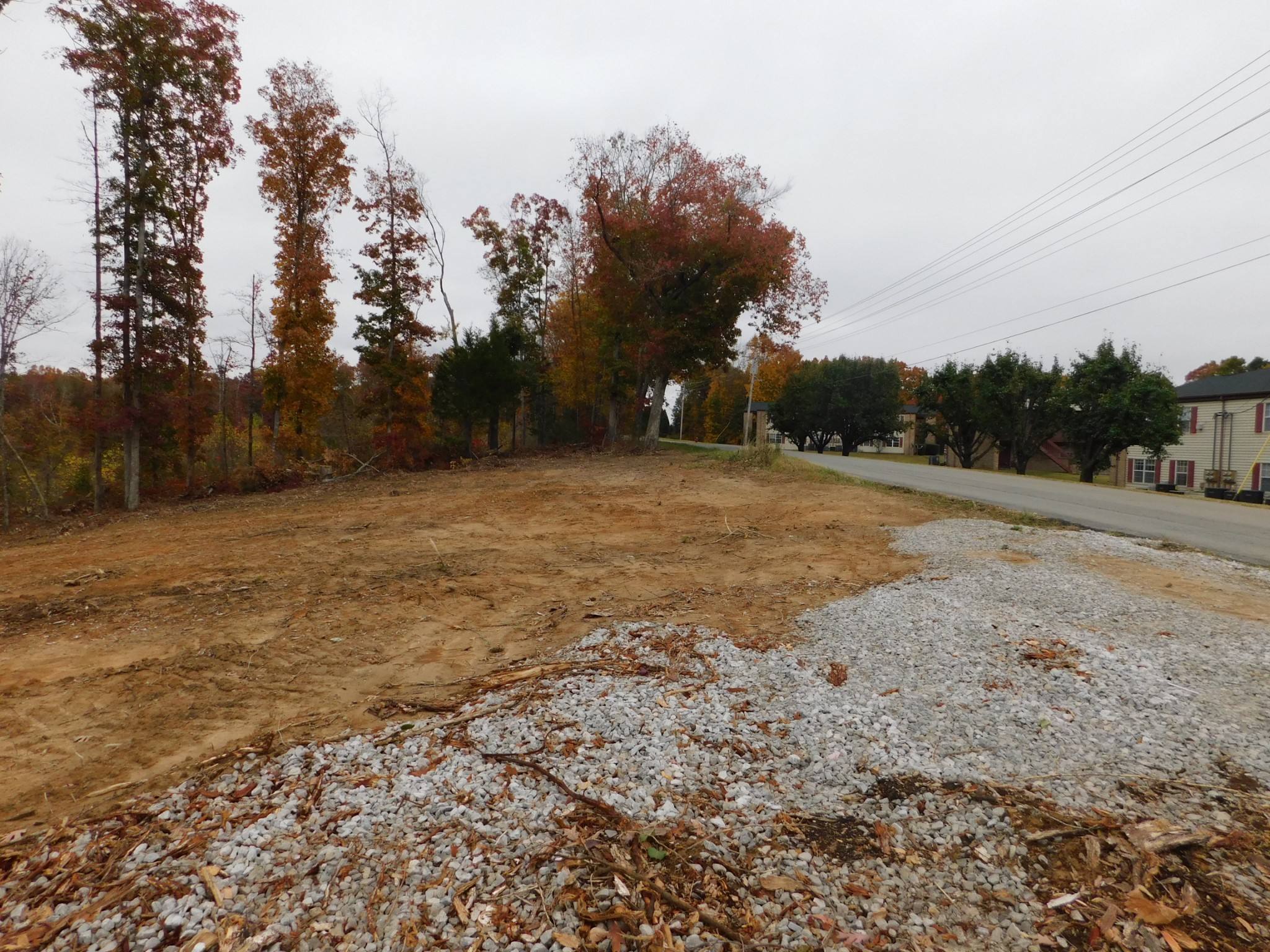 0 Ridge Road Waverly, TN 37185 - Photo 7 of 11 a view of dirt yard with large trees