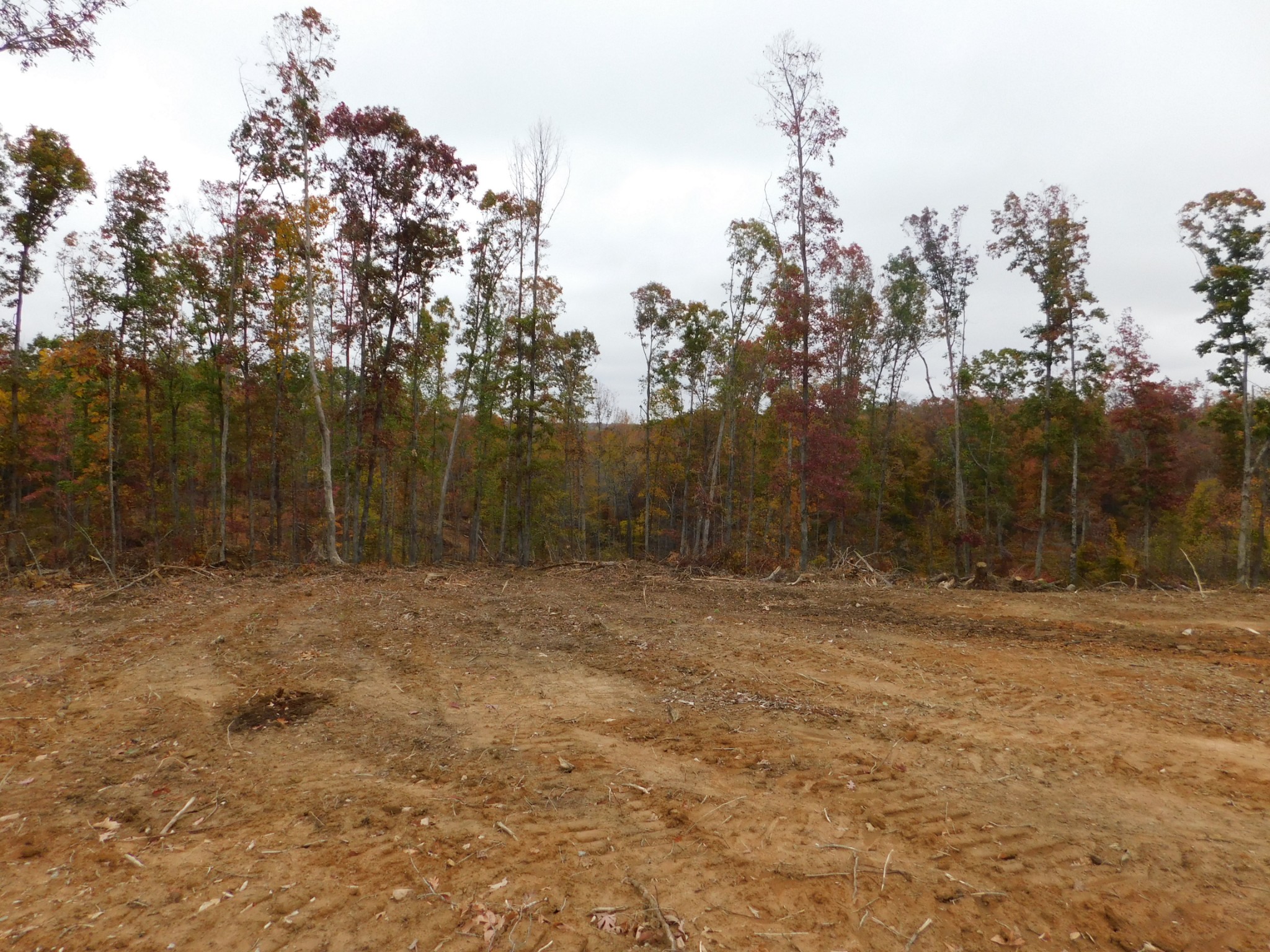 0 Ridge Road Waverly, TN 37185 - Photo 8 of 11 a view of a yard with trees