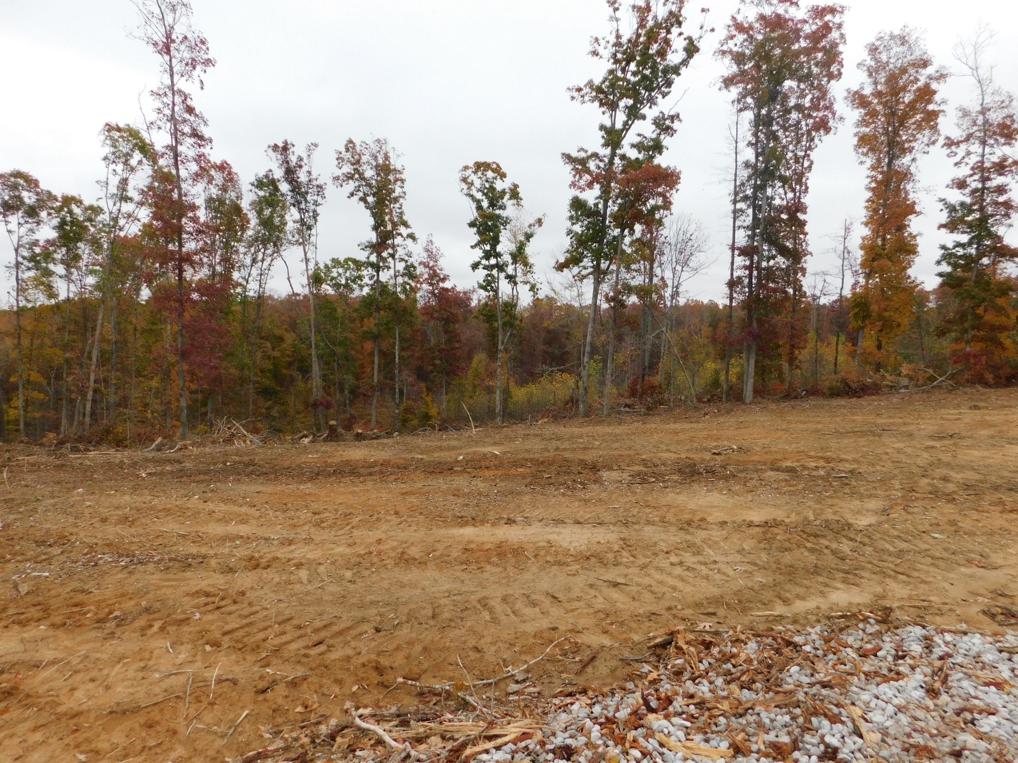 0 Ridge Road Waverly, TN 37185 - Photo 9 of 11 a view of dirt field with trees in background