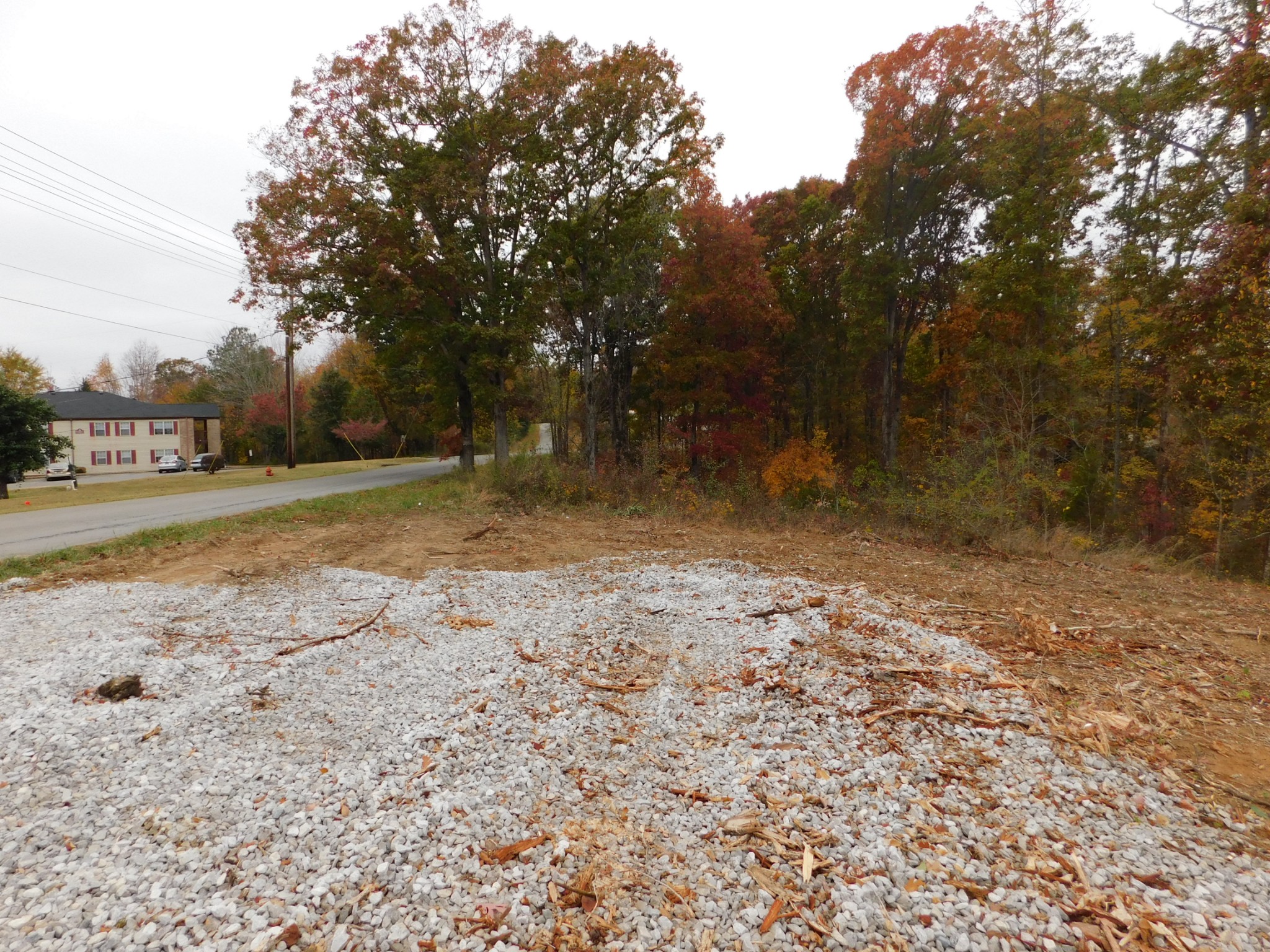 0 Ridge Road Waverly, TN 37185 - Photo 10 of 11 a view of a yard with a tree