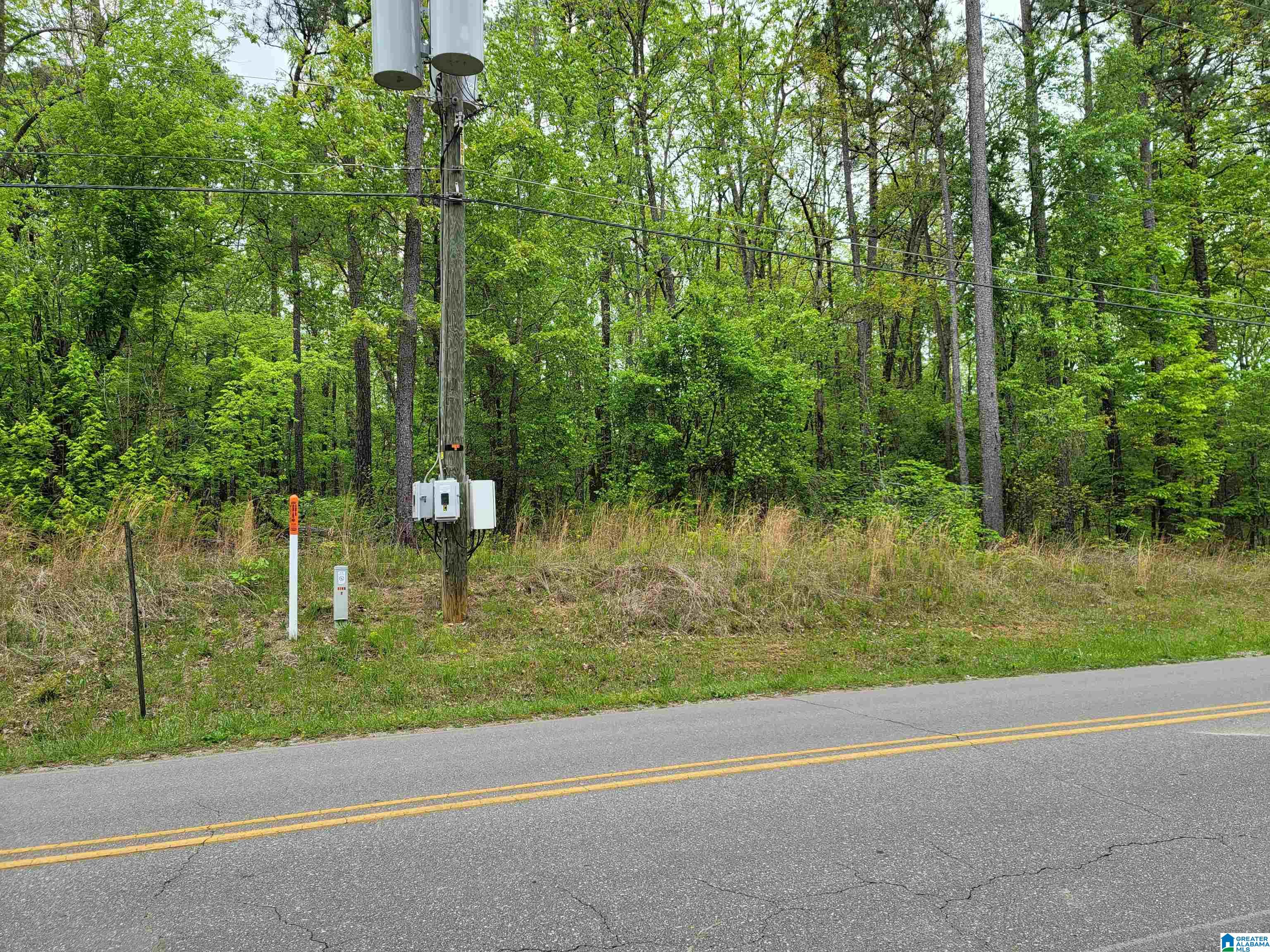 0 Mays Bend Road, Unit 7 Pell City, AL 35128 - Photo 3 of 3
