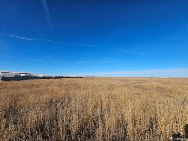 a view of beach and ocean