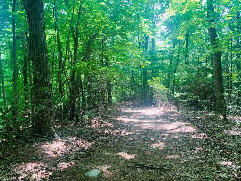 Lot 103 Buck Mountain Road Purlear, NC 28665 - Photo 1 of 16