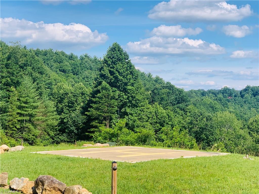 Lot 103 Buck Mountain Road Purlear, NC 28665 - Photo 14 of 16