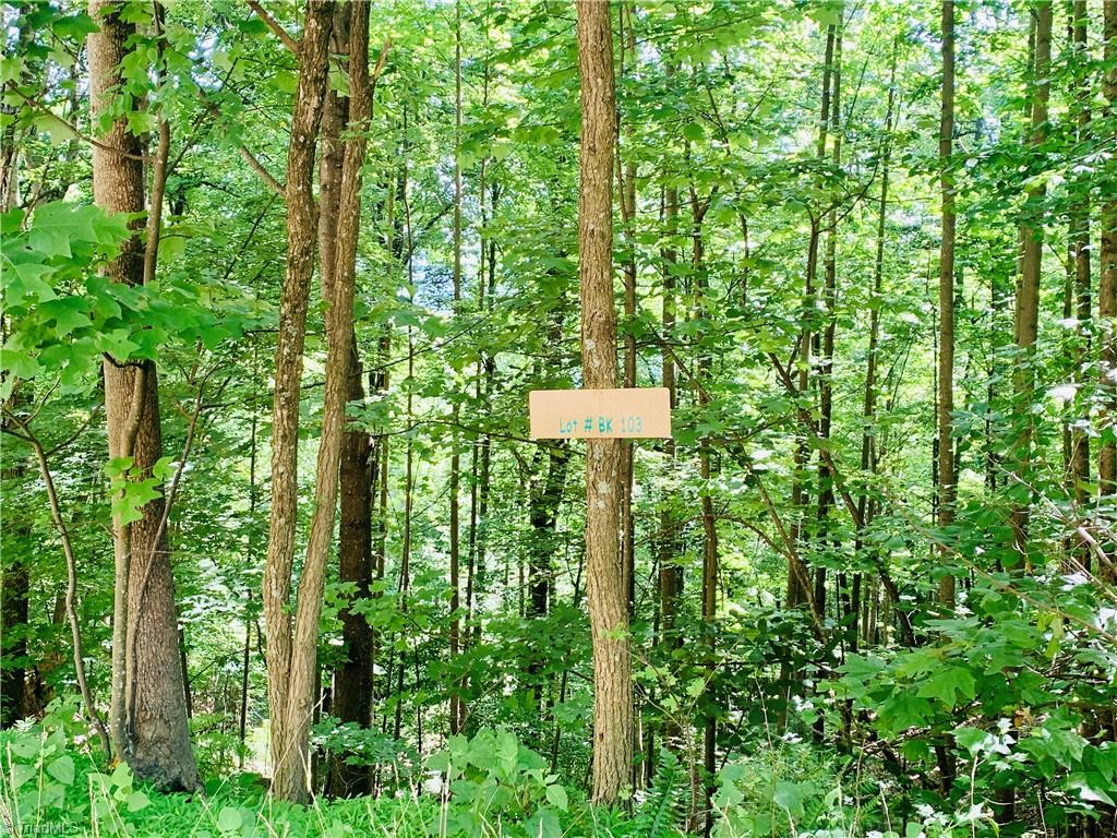 Lot 103 Buck Mountain Road Purlear, NC 28665 - Photo 3 of 16