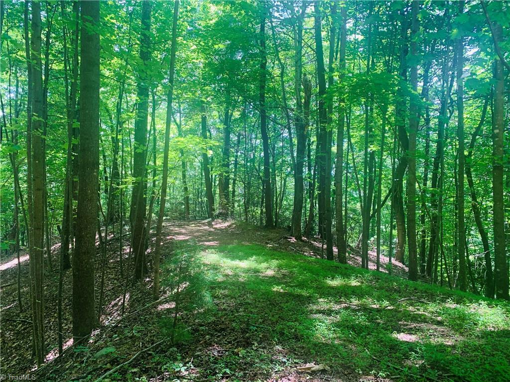 Lot 103 Buck Mountain Road Purlear, NC 28665 - Photo 4 of 16