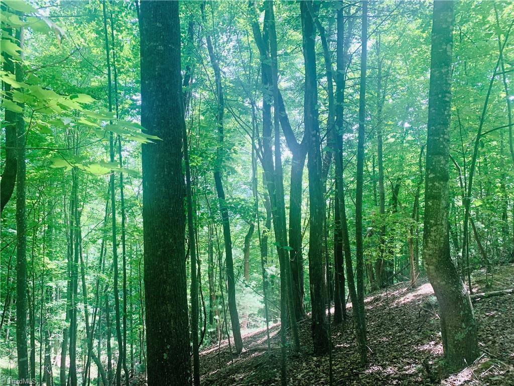 Lot 103 Buck Mountain Road Purlear, NC 28665 - Photo 5 of 16