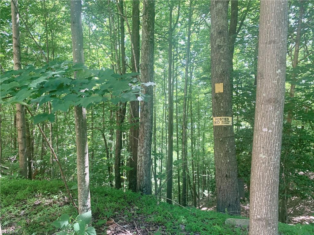 Lot 103 Buck Mountain Road Purlear, NC 28665 - Photo 6 of 16