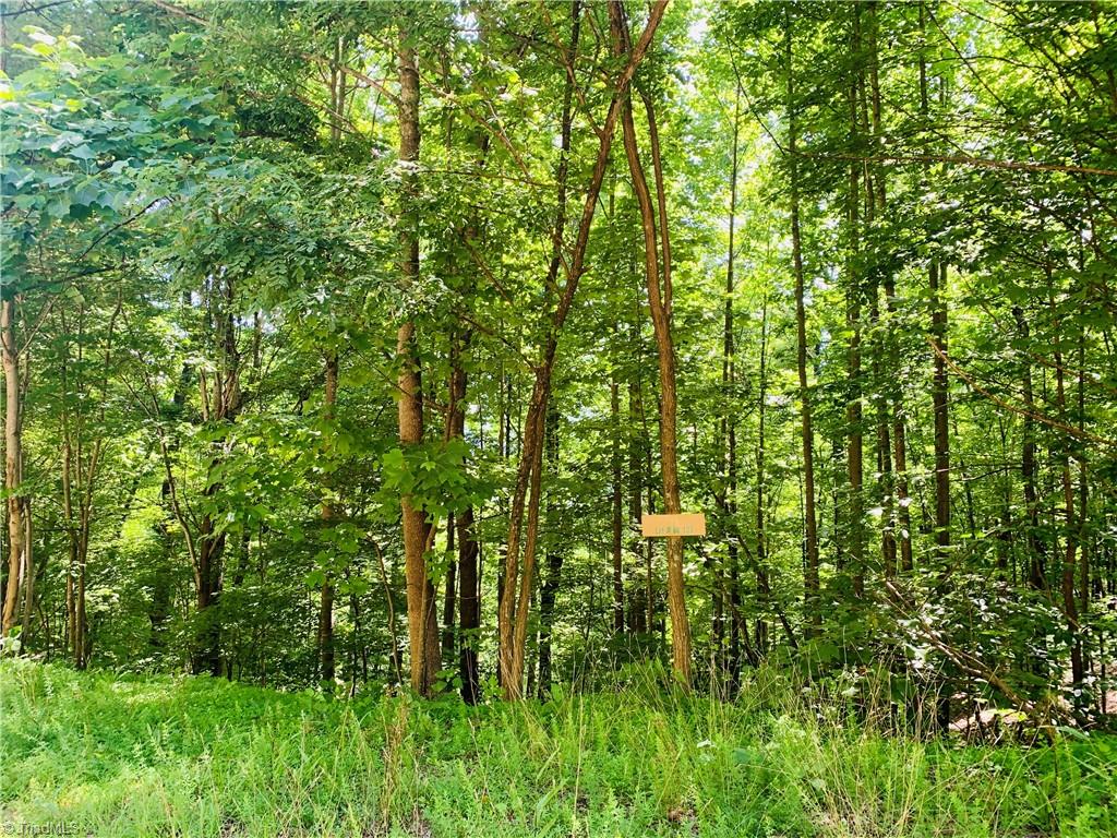 Lot 103 Buck Mountain Road Purlear, NC 28665 - Photo 7 of 16