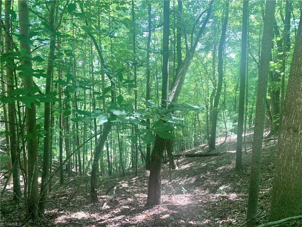 Lot 103 Buck Mountain Road Purlear, NC 28665 - Photo 8 of 16