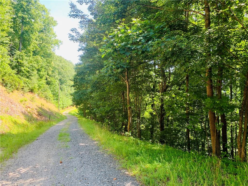 Lot 103 Buck Mountain Road Purlear, NC 28665 - Photo 9 of 16
