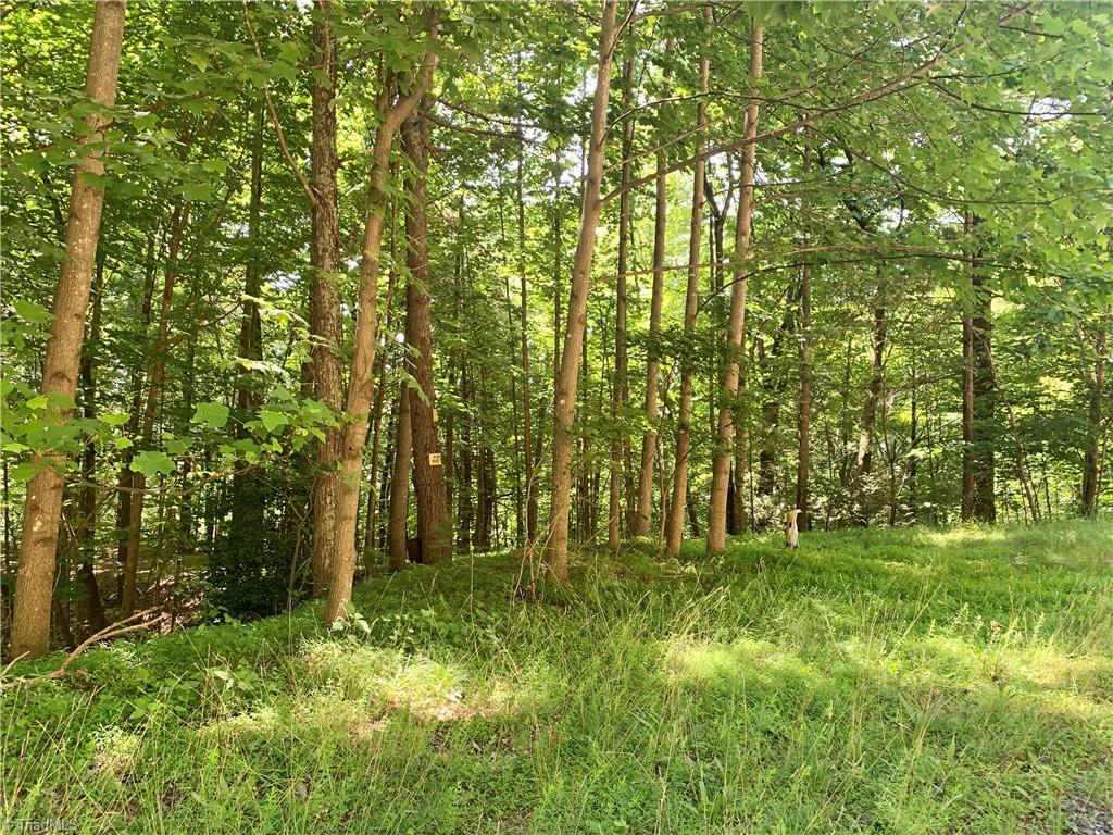 Lot 103 Buck Mountain Road Purlear, NC 28665 - Photo 10 of 16