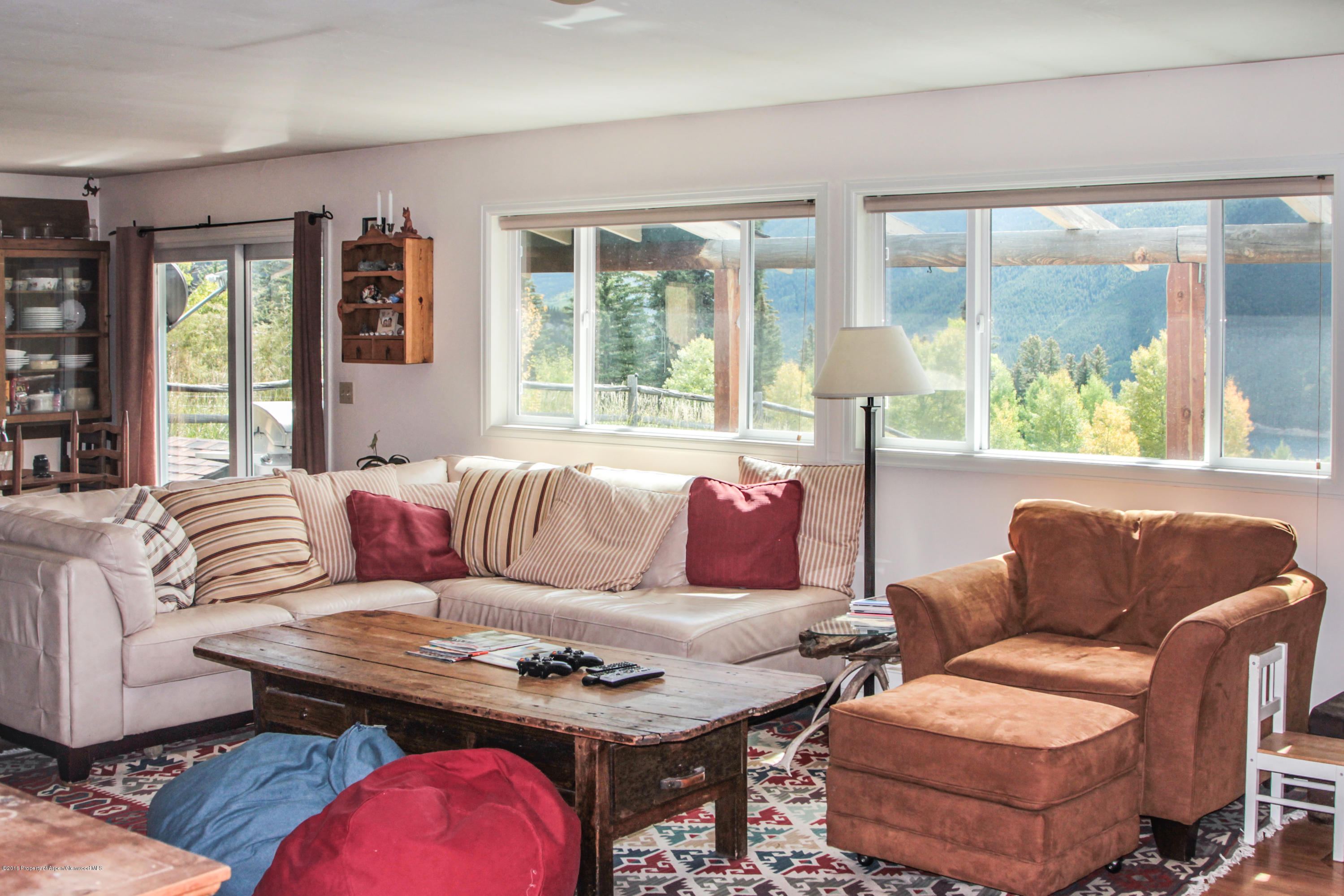 124 Hawk Lane Basalt, CO 81621 - Photo 3 of 10 Living Room