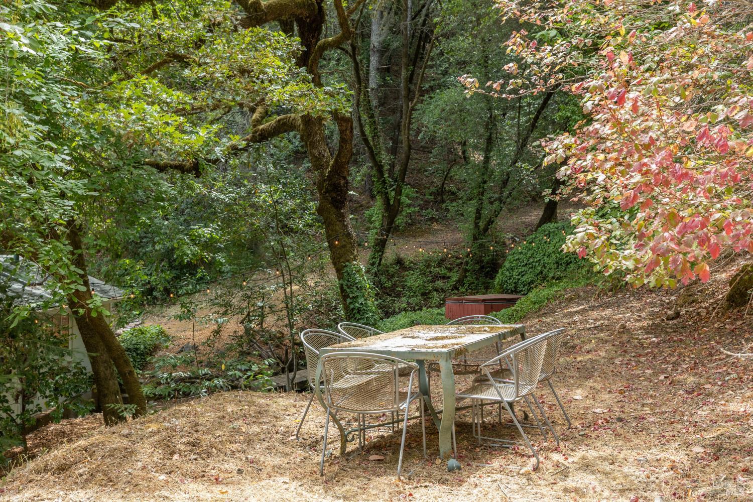 1311 West Dry Creek Road Healdsburg, CA 95448 - Photo 22 of 37 a patio with table and chairs with barbeque and trees