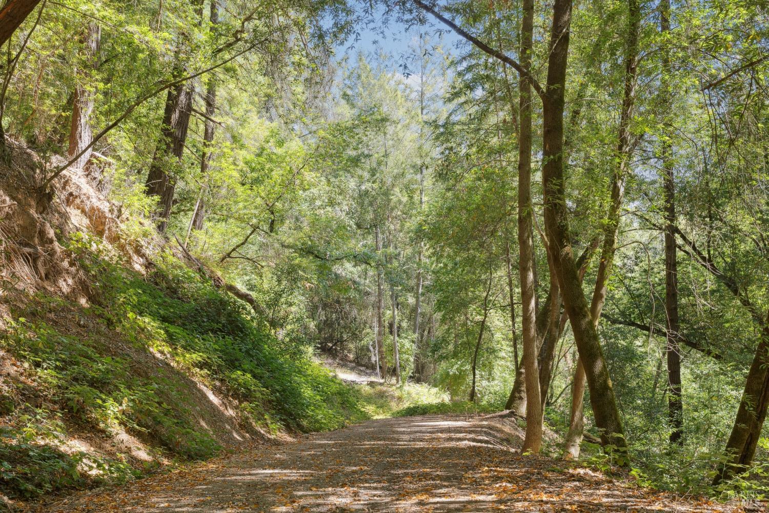1311 West Dry Creek Road Healdsburg, CA 95448 - Photo 34 of 37 a view of a yard with large trees