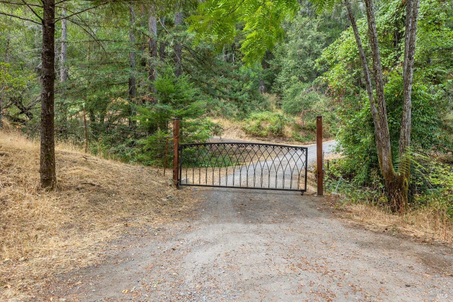 1311 West Dry Creek Road Healdsburg, CA 95448 - Photo 35 of 37 a view of a backyard with trees