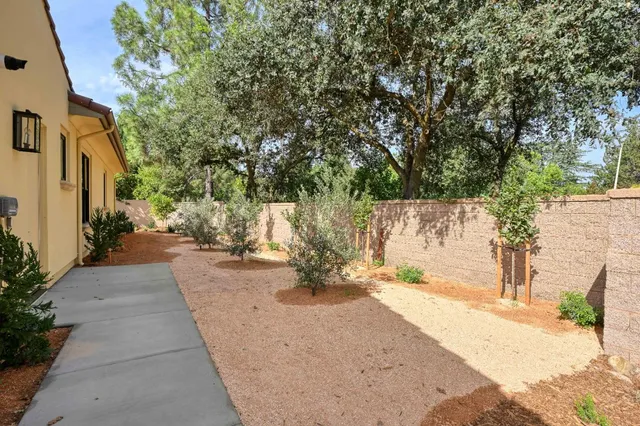 a view of a yard with plants and large trees