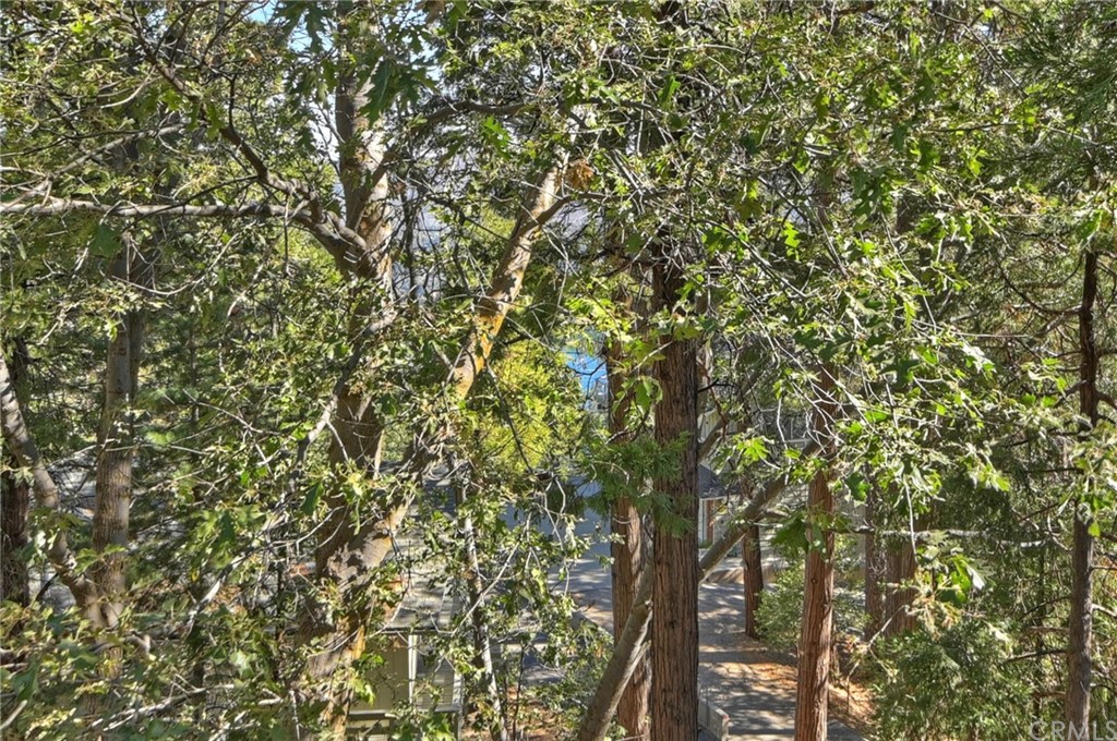 24310 Albrun Drive Crestline, CA 92325 - Photo 35 of 39 a view of a tree