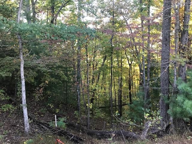 0 Chestnut Road Reliance, TN 37369 - Photo 4 of 9