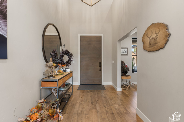 1192 East Ashdown Road Cedar City, UT 84721 - Photo 45 of 96 Wood-finish flooring throughout, featuring a tall entryway with a single-panel door