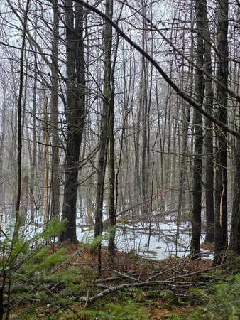$59,900 | 0 Harriman Road, Swanville, ME 04915