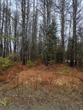 $59,900 | 0 Harriman Road, Swanville, ME 04915