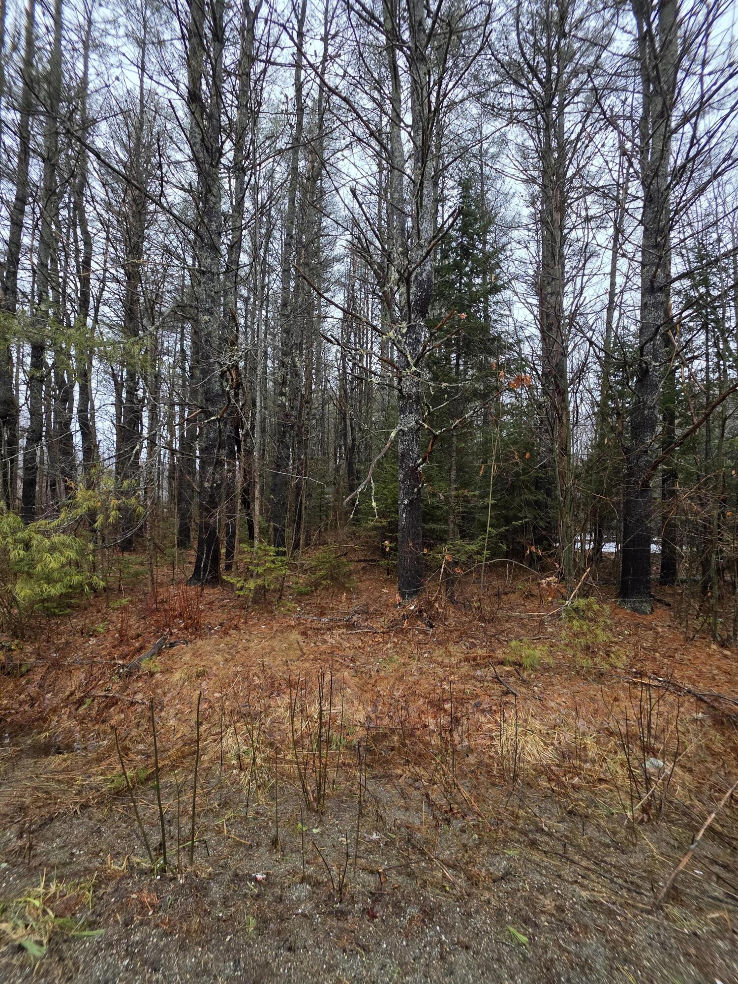 0 Harriman Road Swanville, ME 04915 - Photo 8 of 9 1000028488