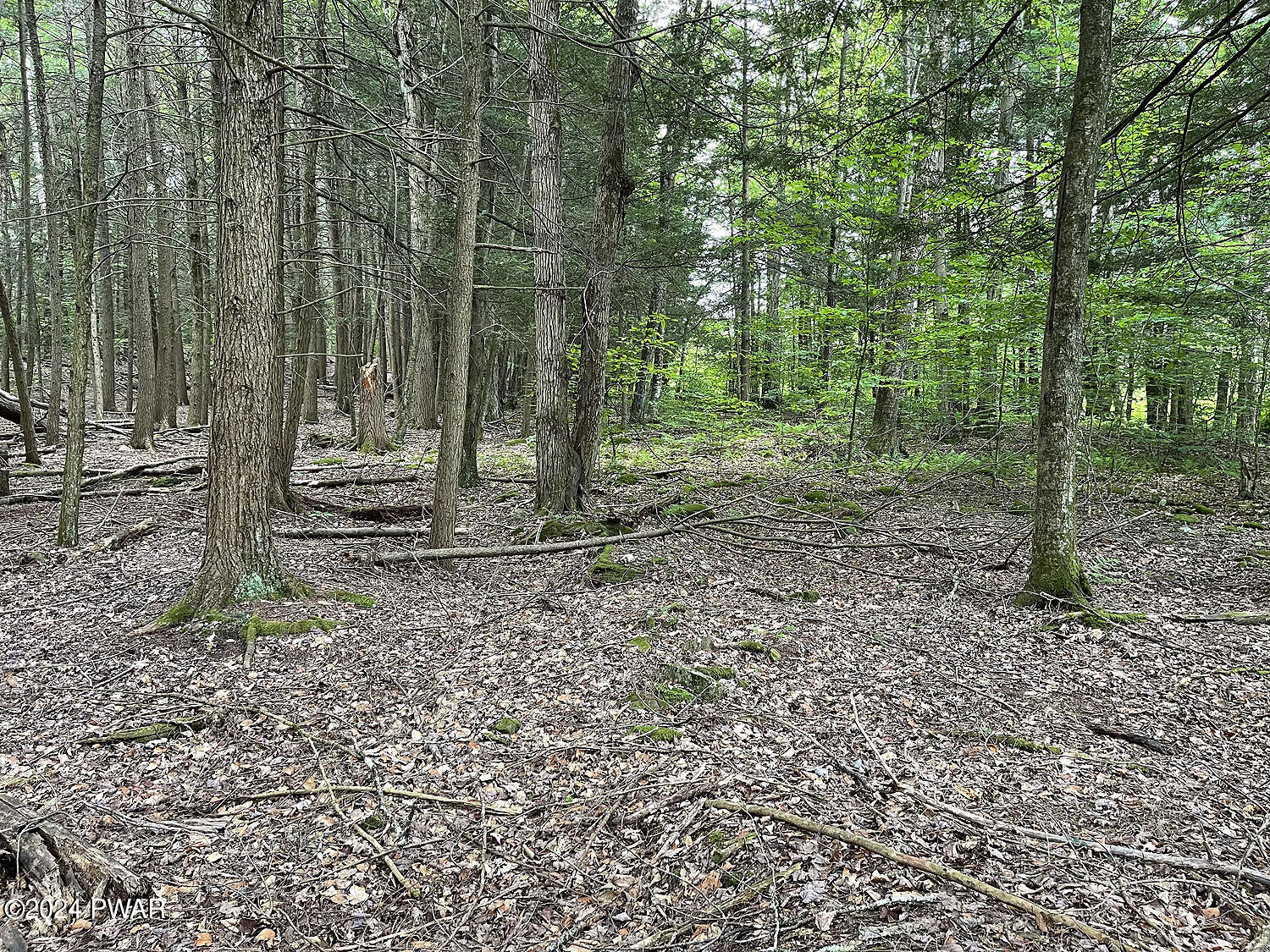 0 Rotten Road Equinunk, PA 18417 - Photo 7 of 20