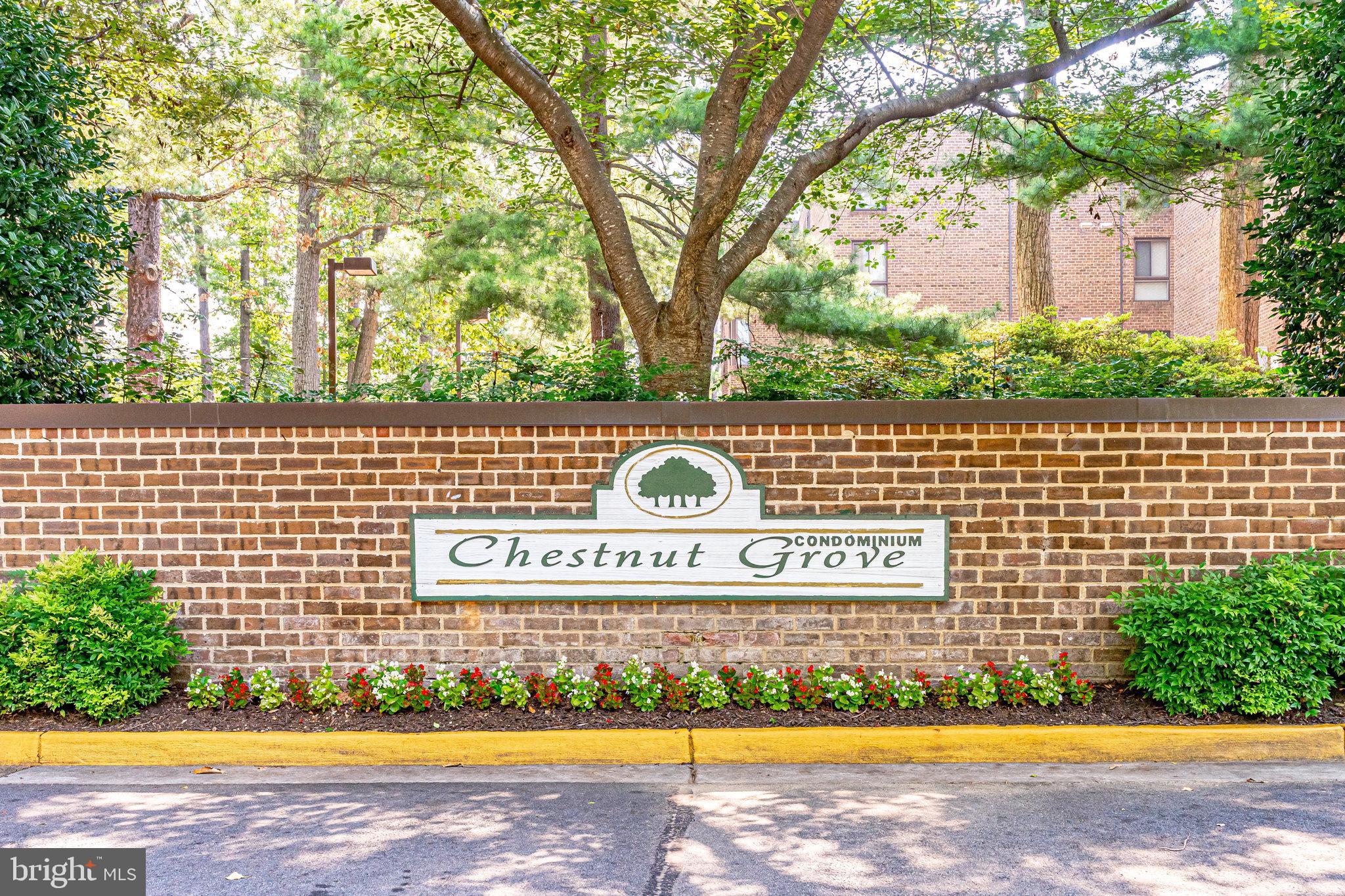 11256 Chestnut Grove Square, Unit 11256142 Reston, VA 20190 - Photo 8 of 31 Gallery Image 8