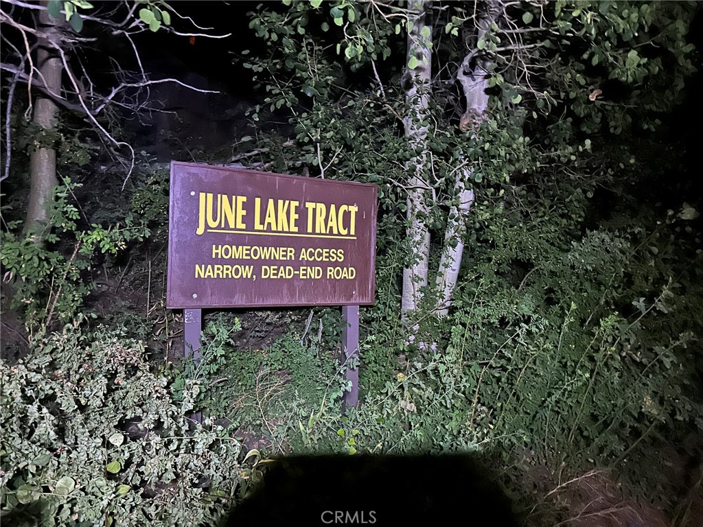 Exclusive June Lake Front Tract