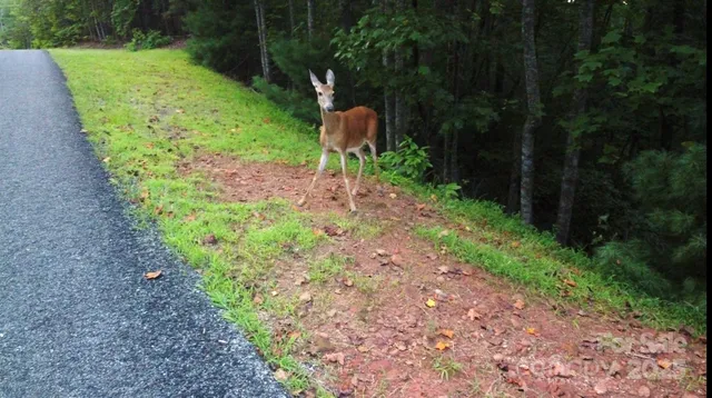 a backyard of a house with a yard and outdoor seating
