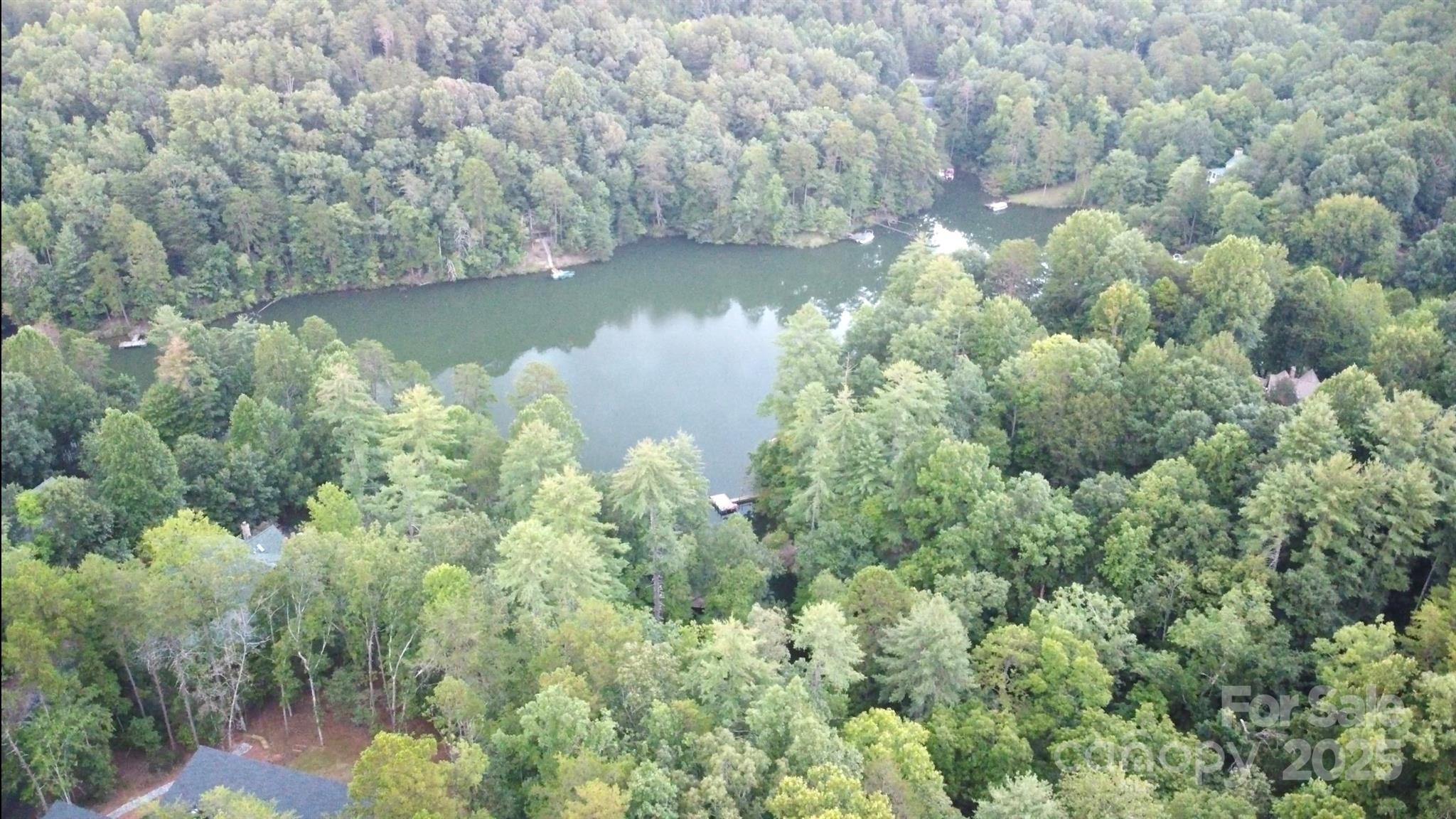 11-12 South Pointe Rd Mill Spring Mill Spring, NC 28756 - Photo 7 of 11 a view of a lake with houses