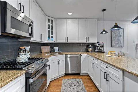 $675,000 | 1348 West George Street, Unit 1, Chicago, IL 60657