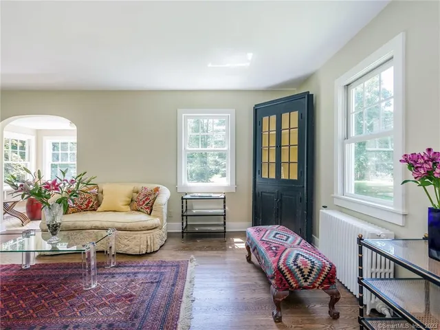a living room with furniture and a potted plant