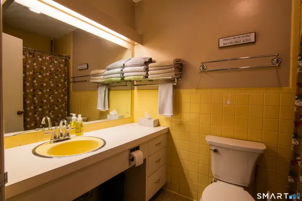 a white toilet sitting next to a shower curtain