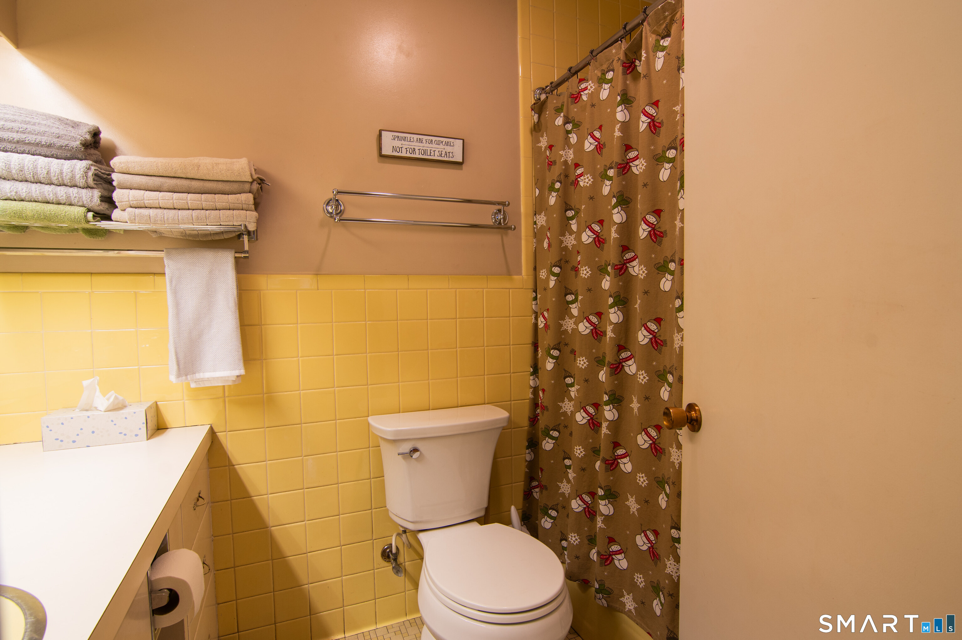 310 Roseland Park Road Woodstock, CT 06281 - Photo 30 of 43 a white toilet sitting next to a shower curtain