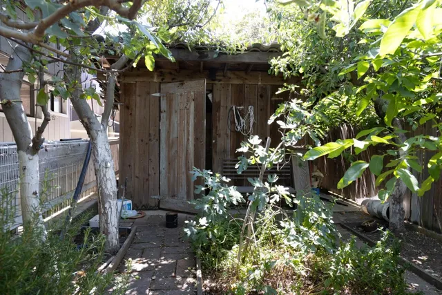 a couple of flower plants in front of door