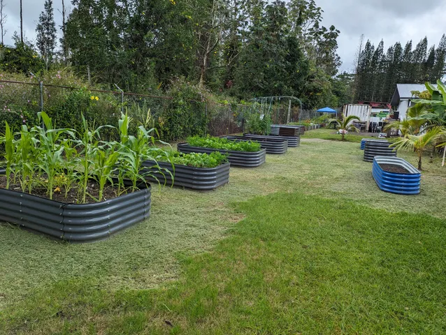 $33,000 | 122 Lahaina Road, Pahoa, HI 96778