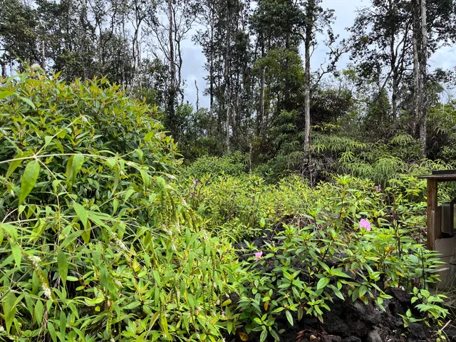 $33,000 | 122 Lahaina Road, Pahoa, HI 96778