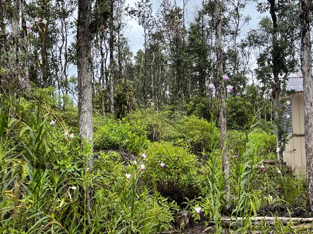 $33,000 | 122 Lahaina Road, Pahoa, HI 96778