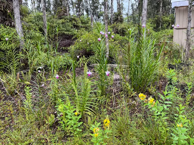 $33,000 | 122 Lahaina Road, Pahoa, HI 96778