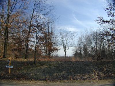 18767 South River Road Three Rivers, MI 49093 - Photo 1 of 1 Primary Photo