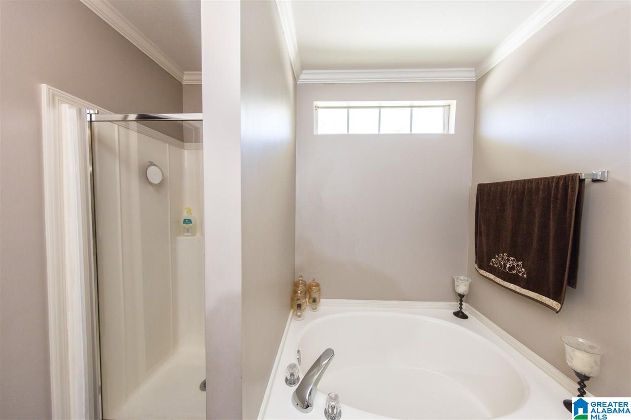 247 Carrington Lane Calera, AL 35040 - Photo 18 of 33