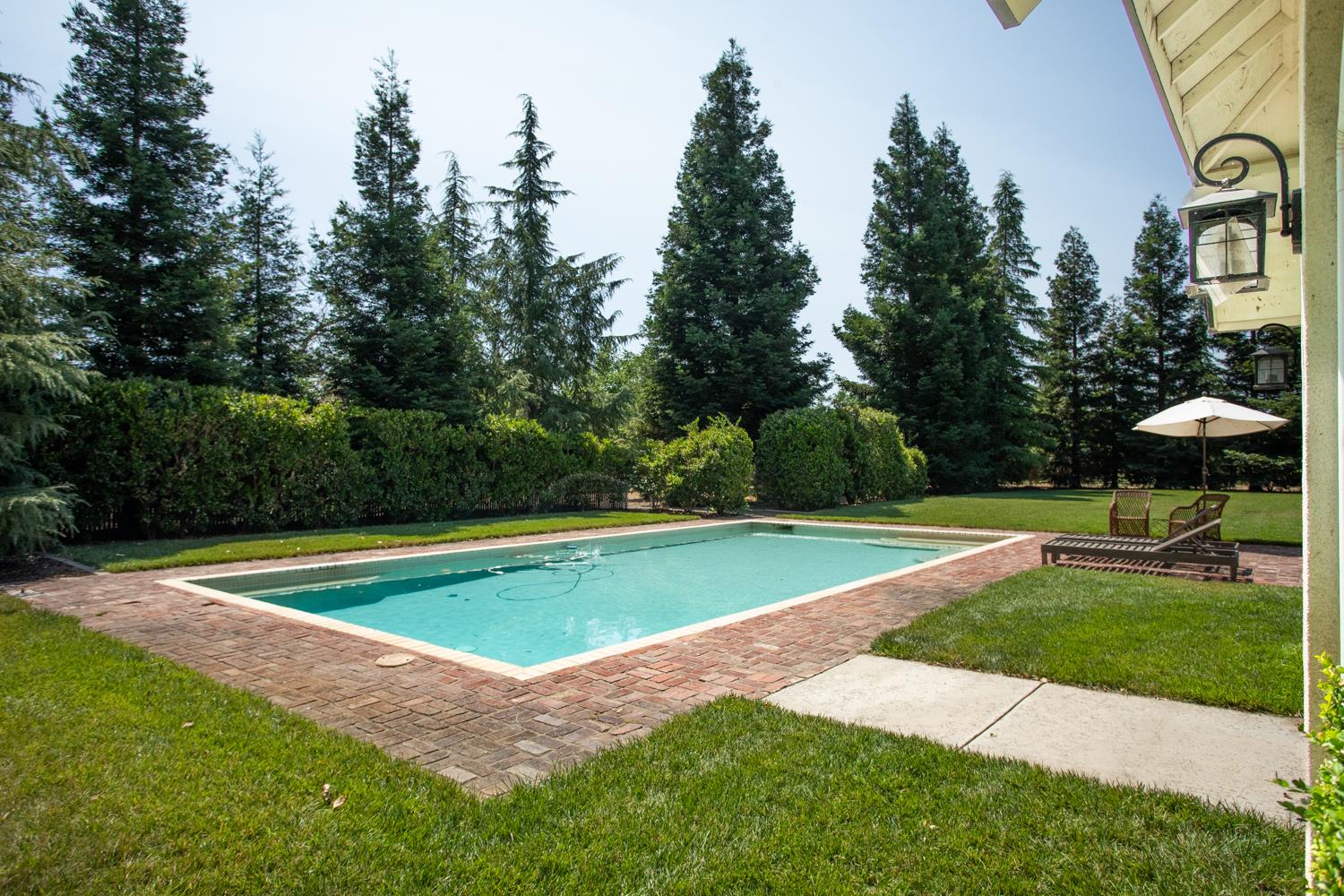 332 Wilson Road Yuba City, CA 95991 - Photo 79 of 91 a view of a swimming pool with a yard and trees