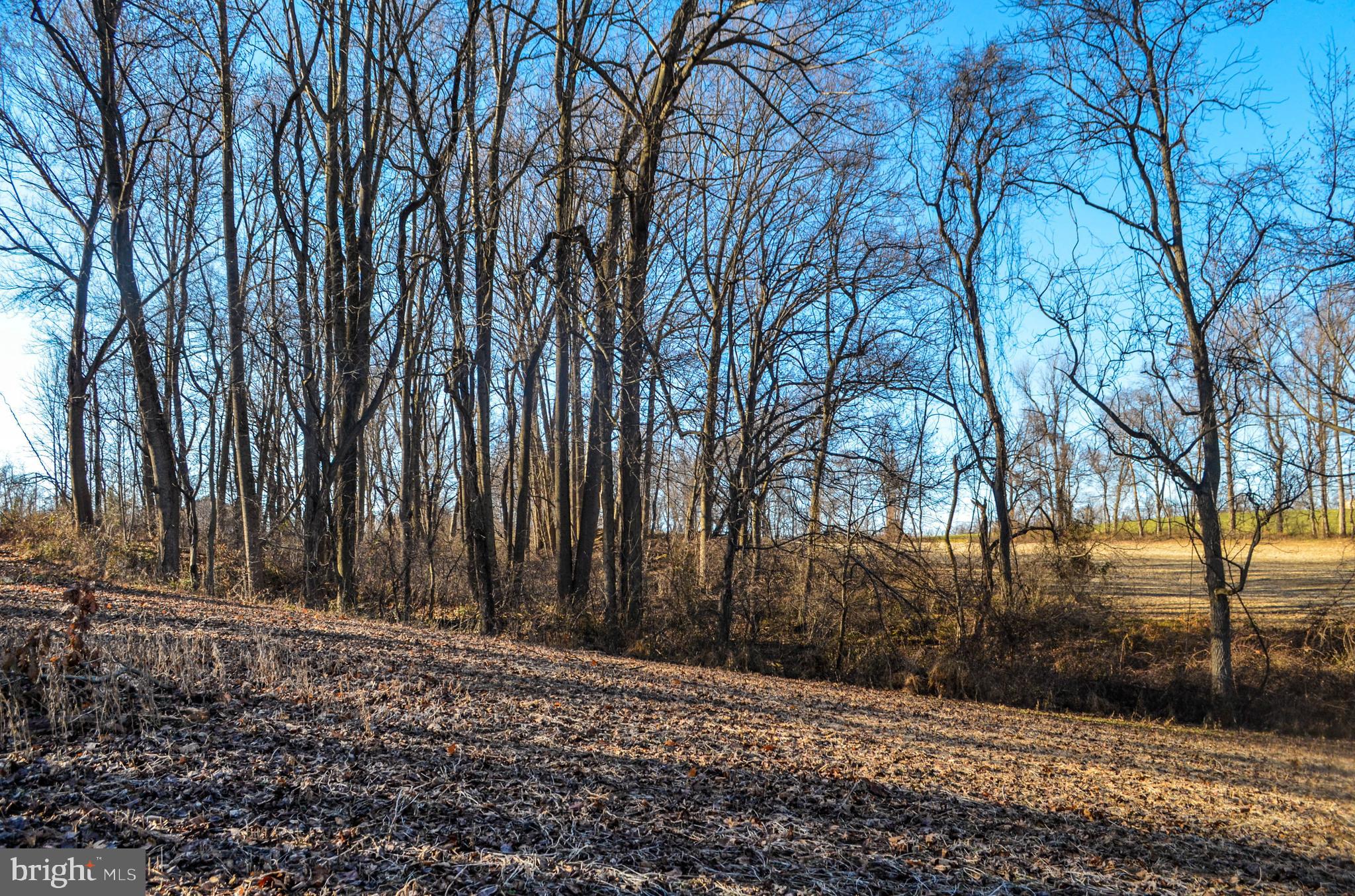 Lot 6 Furnace Road York, PA 17406 - Photo 5 of 8