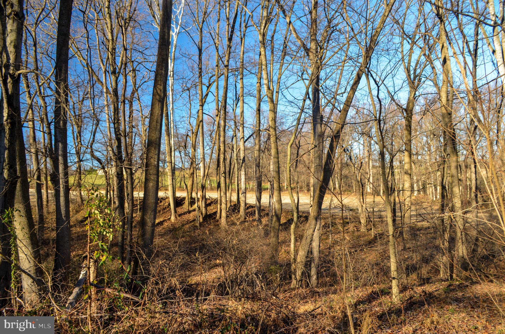 Lot 6 Furnace Road York, PA 17406 - Photo 7 of 8