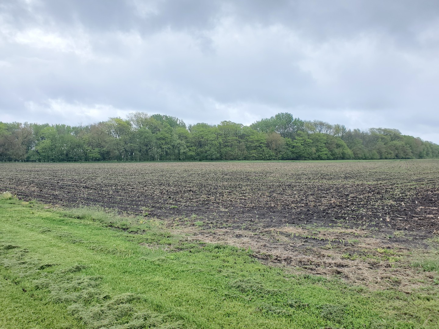 7320 Lyndon Road Prophetstown, IL 61277 - Photo 20 of 23