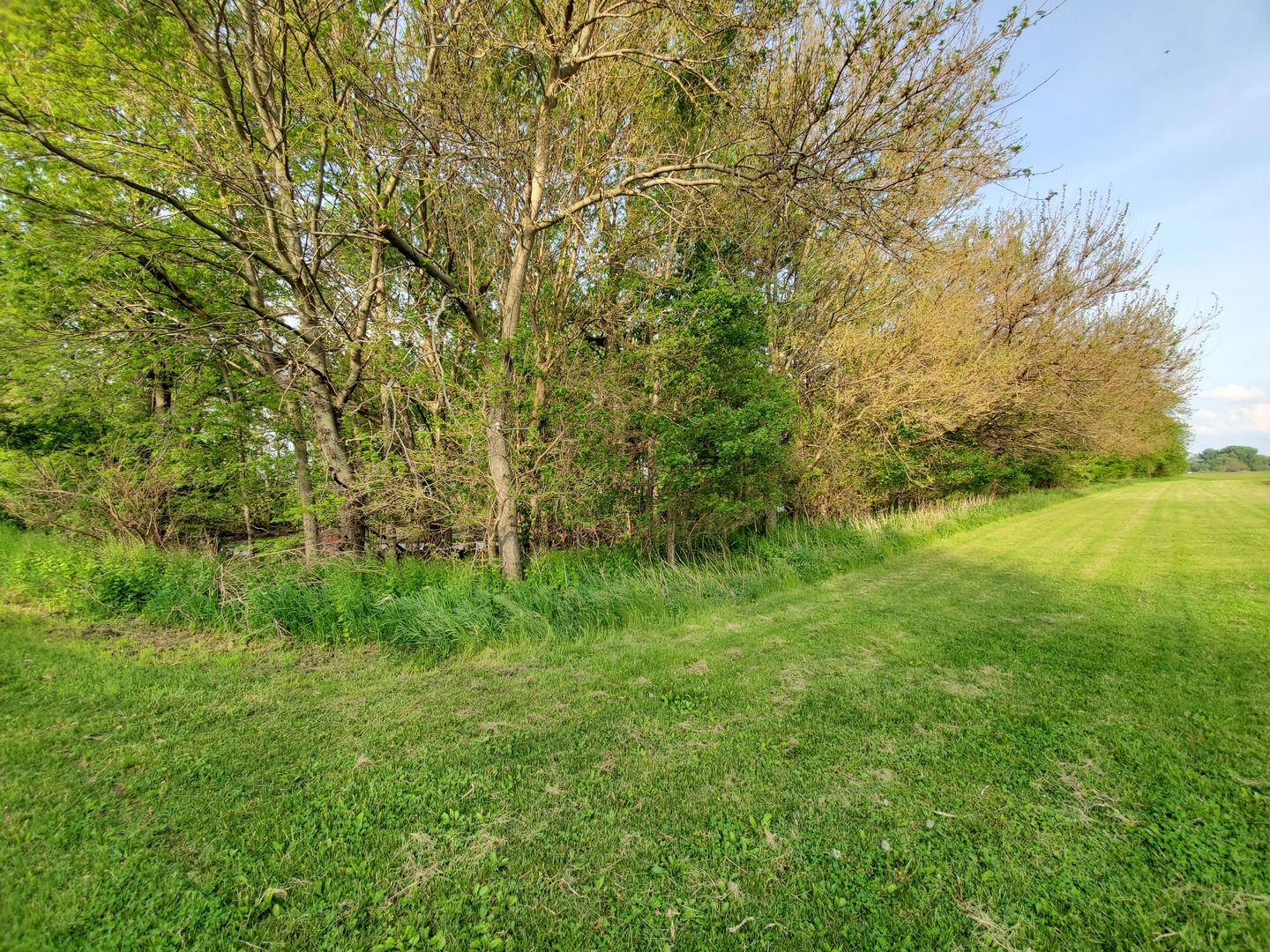7320 Lyndon Road Prophetstown, IL 61277 - Photo 21 of 23