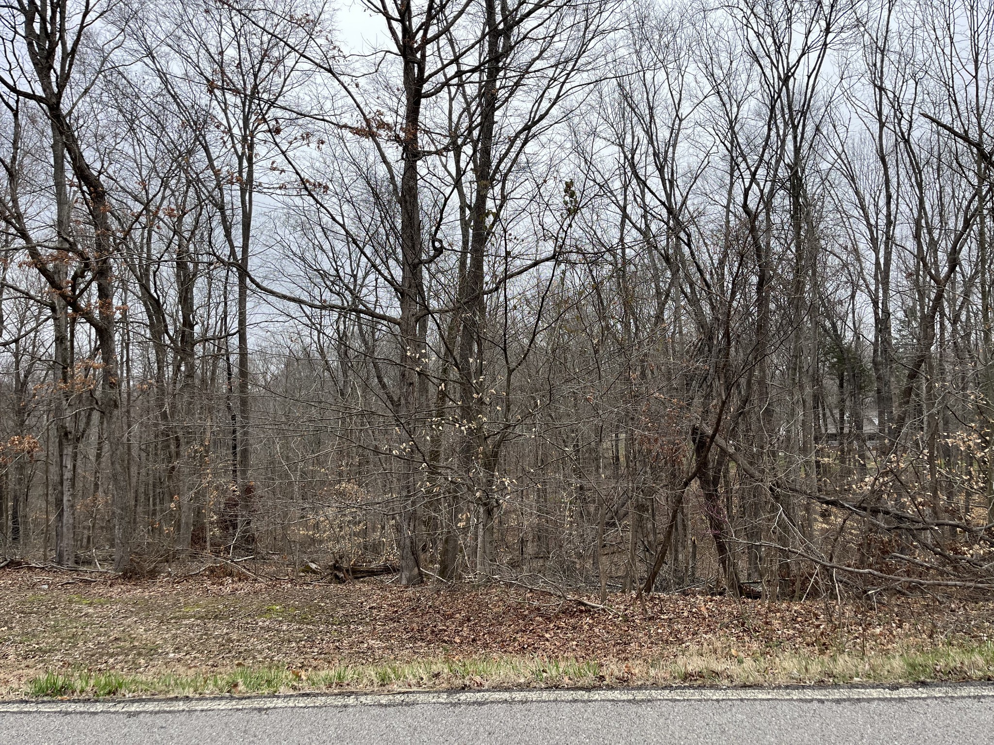 0 Ussery Road South Clarksville, TN 37040 - Photo 2 of 4