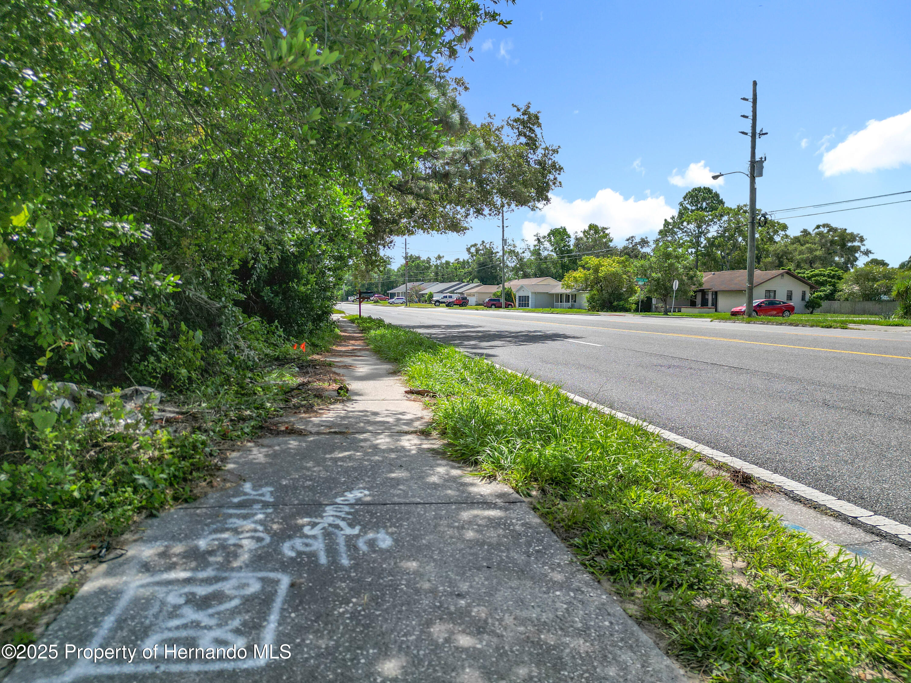 0 Spring Hill Drive Spring Hill, FL 34608 - Photo 10 of 20